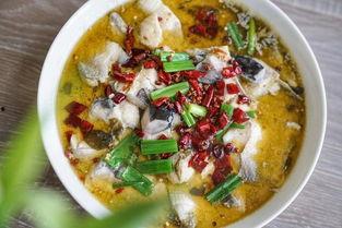 最新爆料酸菜鱼视频大全,美味诱惑来袭！